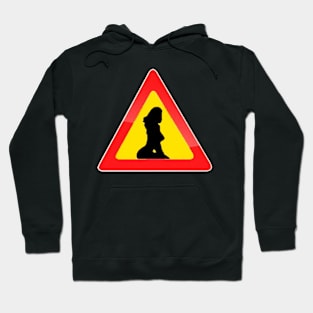 Danger - Woman Nearby Hoodie